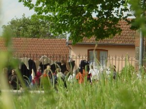 escardes brocante1